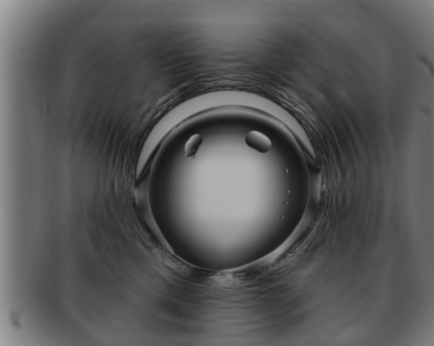 X0000091850425200709121314