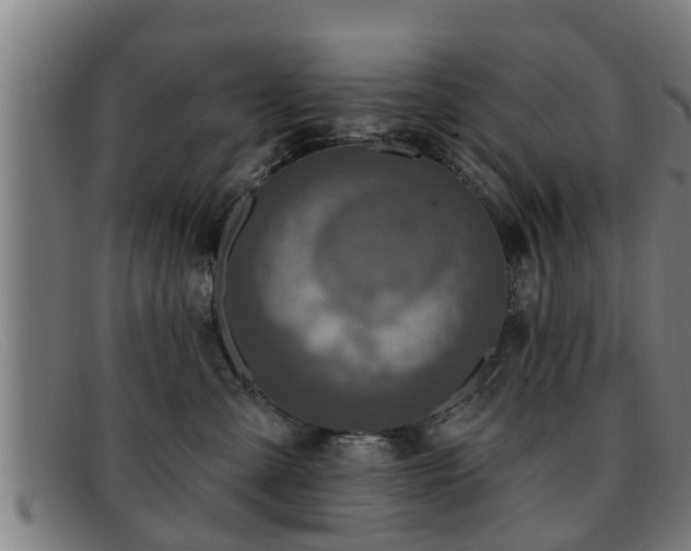 X0000091850427200709121314