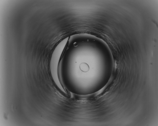 X0000091850428200709121314