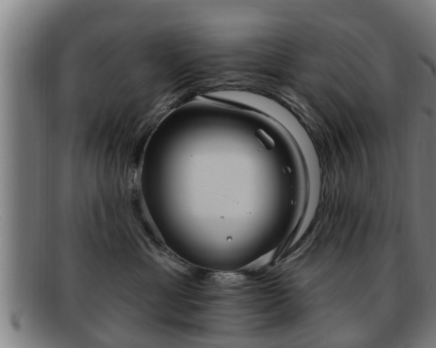X0000091850429200709121314