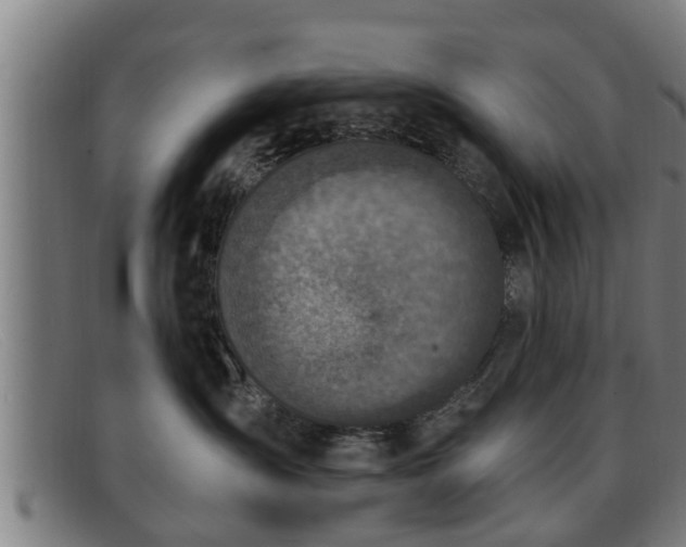 X0000091850431200709121314