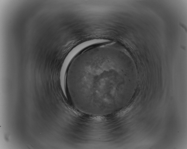 X0000091850432200709121314