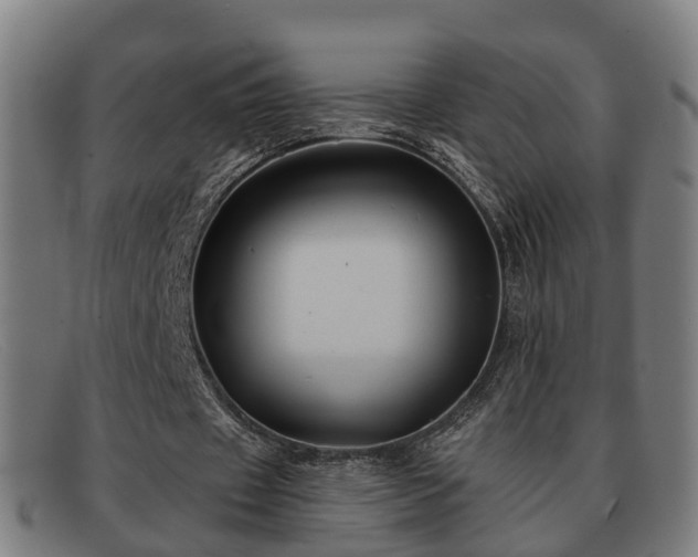X0000091850433200709121313