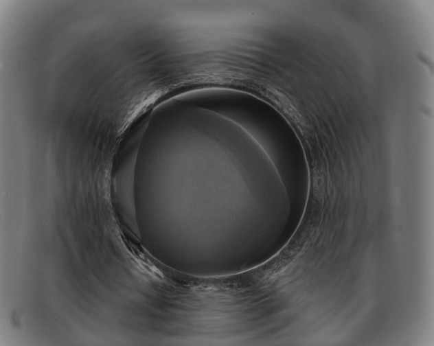 X0000091850434200709121313