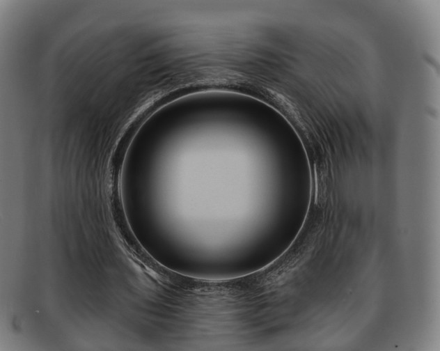 X0000091850435200709121313