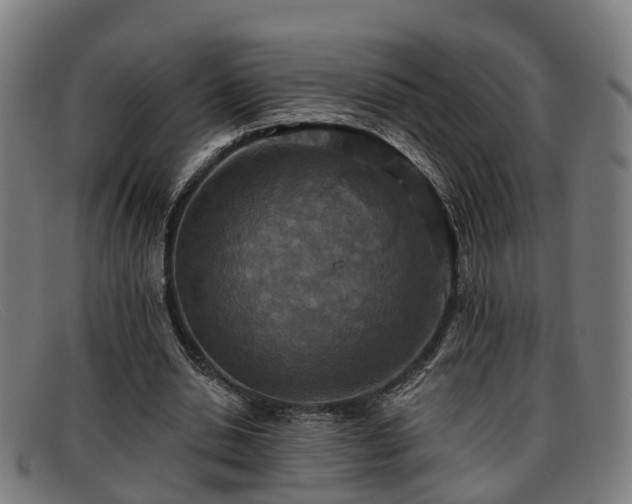X0000091850438200709121313