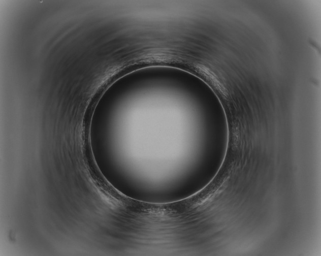 X0000091850439200709121313