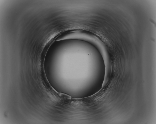 X0000091850440200709121314