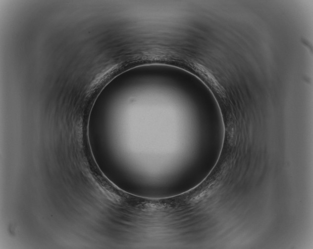 X0000091850442200709121314