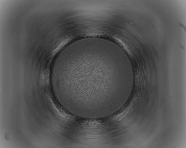 X0000091850443200709121314