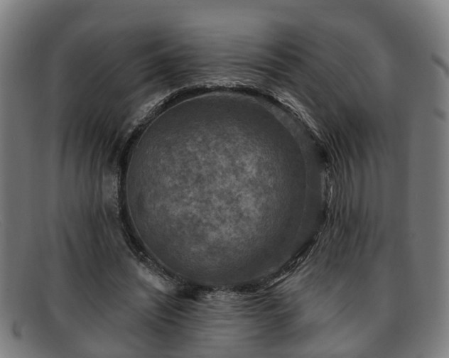 X0000091850444200709121314