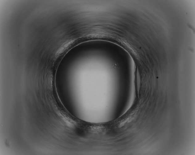 X0000091850446200709121314