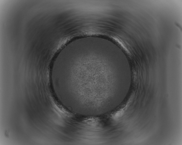 X0000091850447200709121314