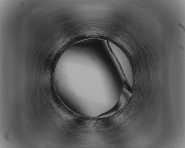 X0000091850448200709121314