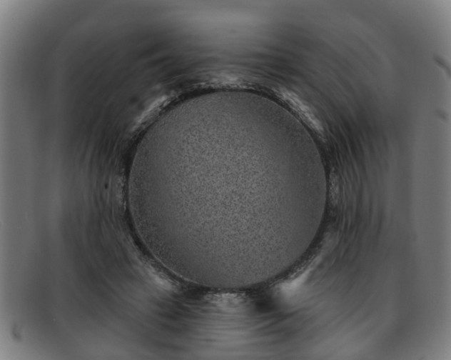 X0000091850449200709121314