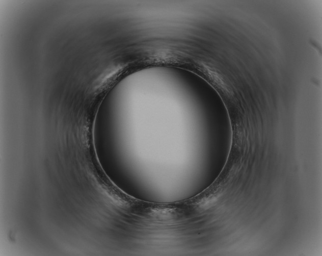 X0000091850450200709121314