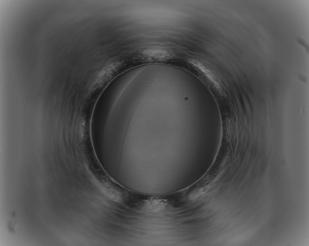 X0000091850451200709121314
