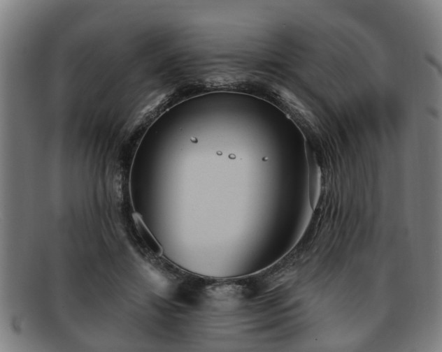 X0000091850452200709121314