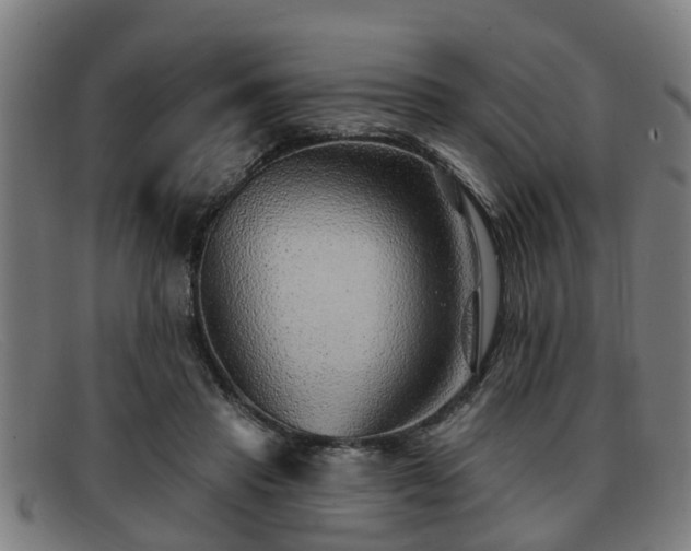 X0000091850453200709121314