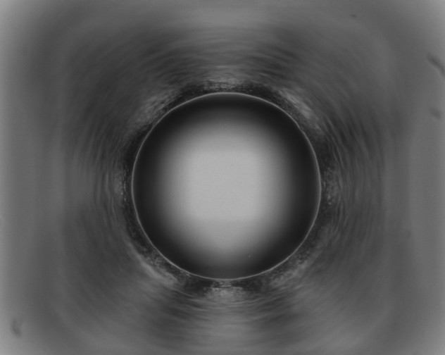 X0000091850455200709121314