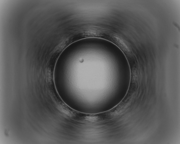 X0000091850457200709121314