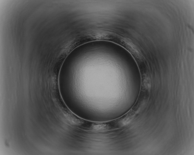 X0000091850461200709121314
