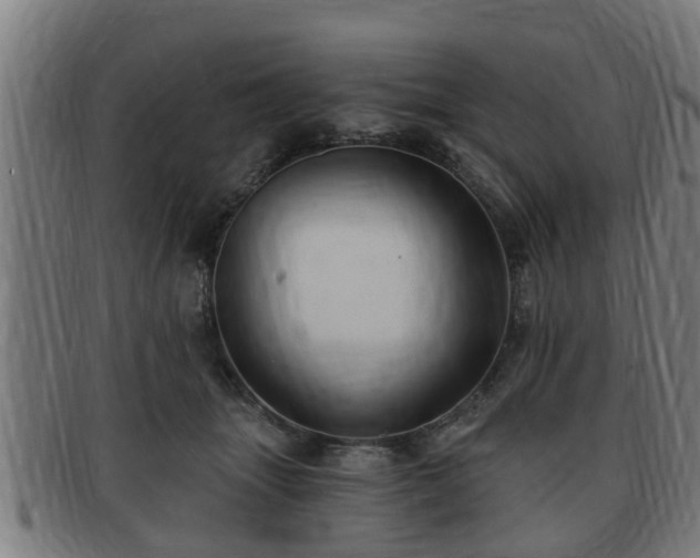 X0000091850463200709121314