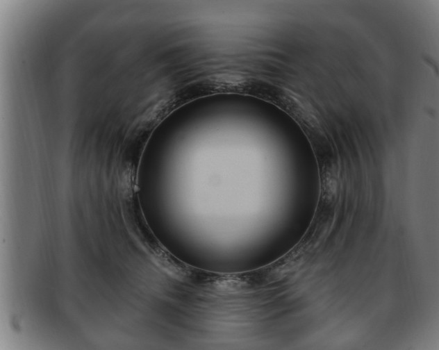 X0000091850468200709121314