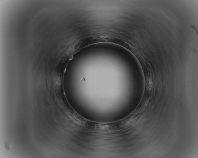 X0000091850472200709121314