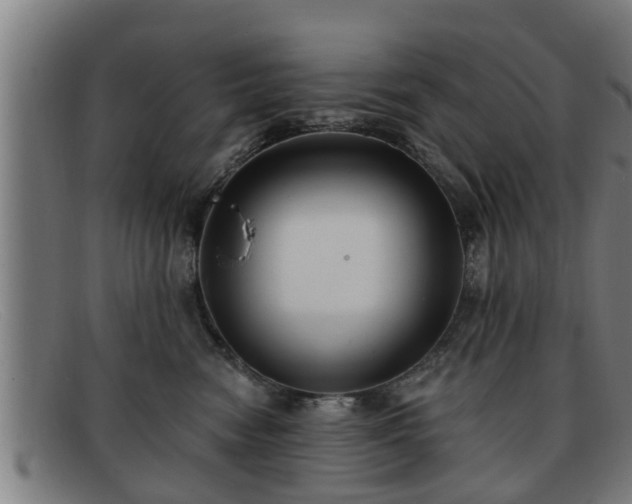 X0000091850474200709121314