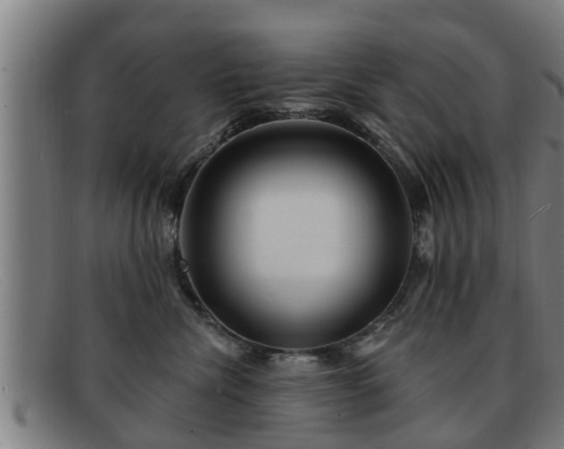 X0000091850476200709121314
