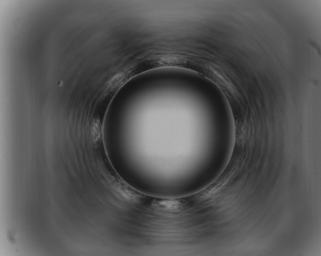 X0000091850478200709121314