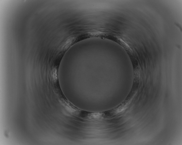 X0000091850479200709121314