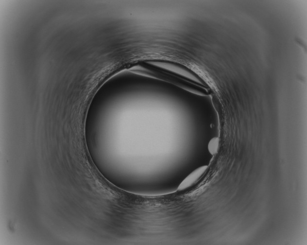 X0000091850481200709121313