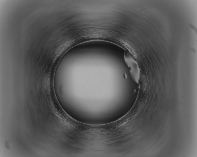 X0000091850482200709121313