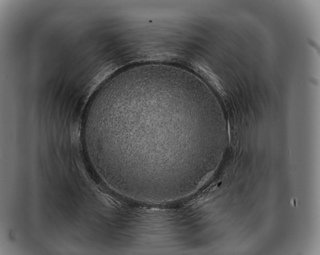 X0000091850483200709121313