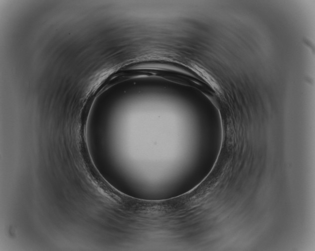 X0000091850485200709121313