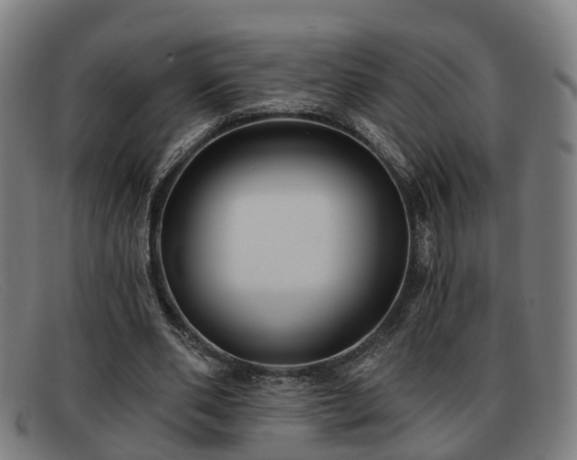 X0000091850486200709121313