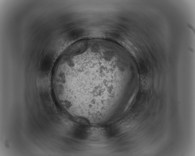X0000091850487200709121313