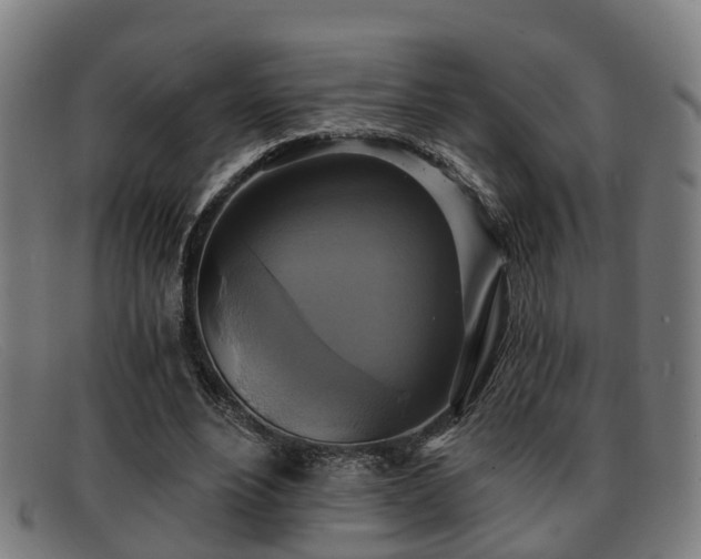 X0000091850488200709121313
