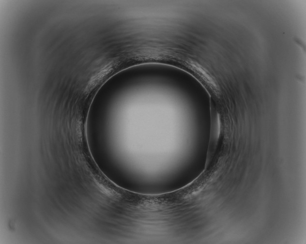 X0000091850489200709121313