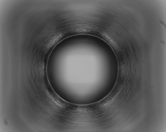 X0000091850490200709121313