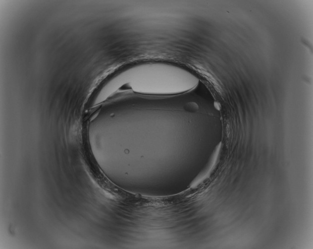 X0000091850492200709121313