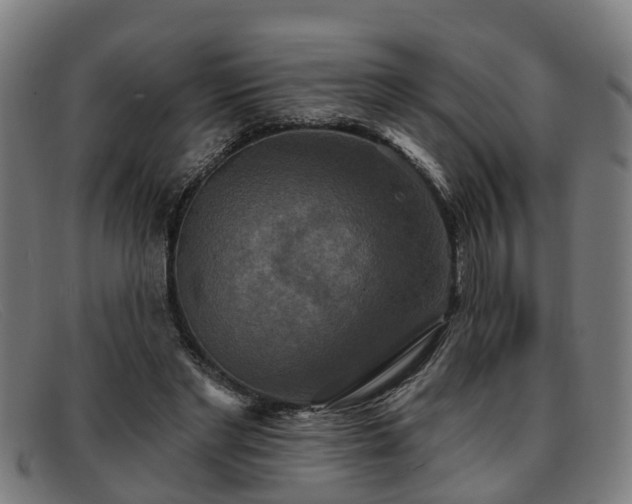 X0000091850493200709121313