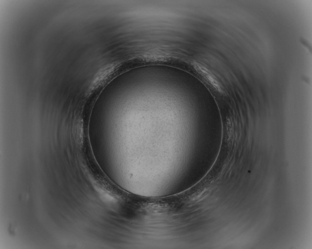X0000091850494200709121313