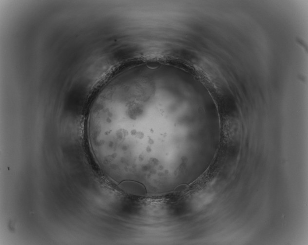 X0000091850495200709121313