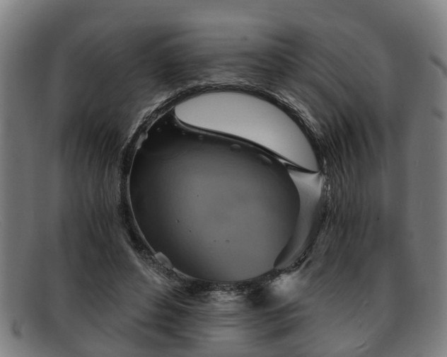 X0000091850496200709121313