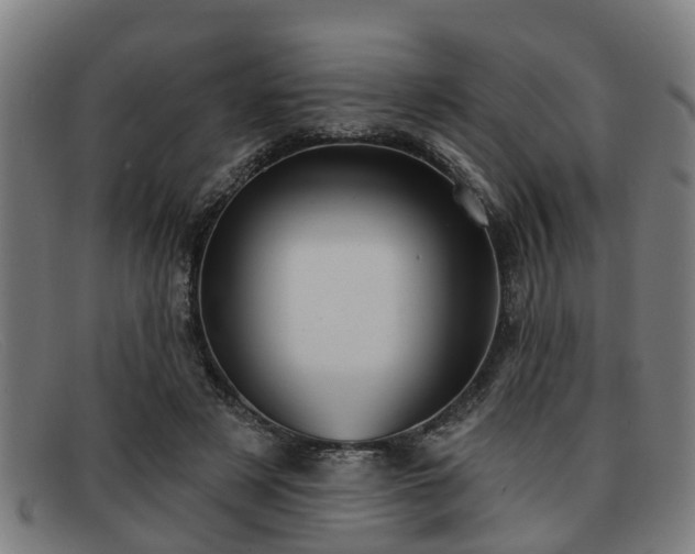 X0000091850497200709121313