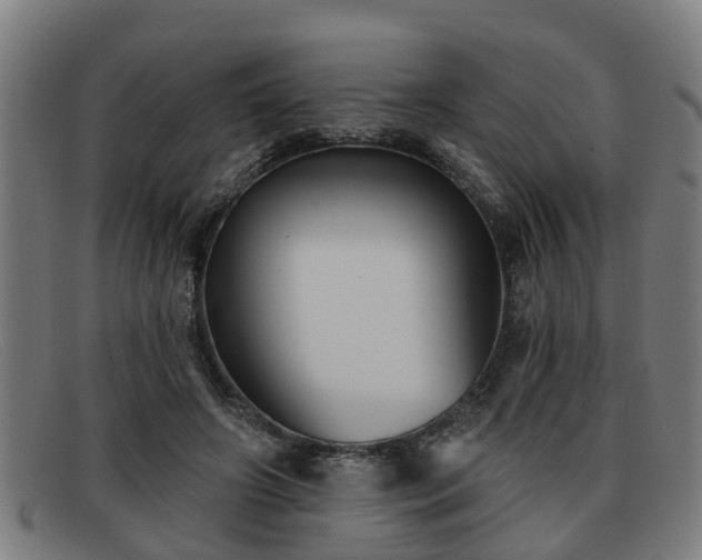 X0000091850498200709121313
