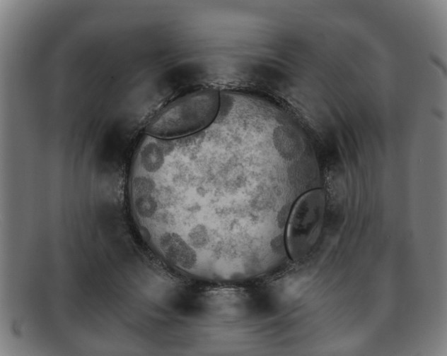 X0000091850499200709121313